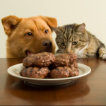 Foods Toxic to Pets
